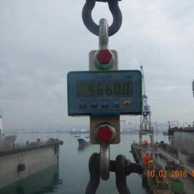 Dscn5162